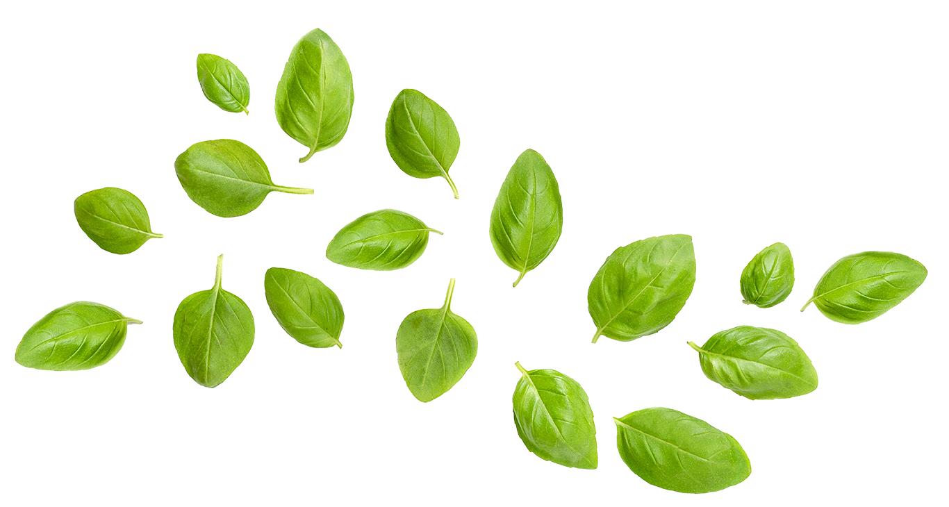 basil leaves for online nutrition coaching