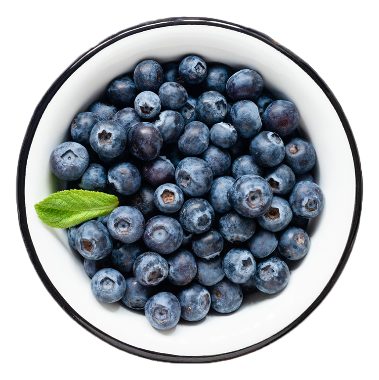 bowl of blueberries for online nutrition coaching