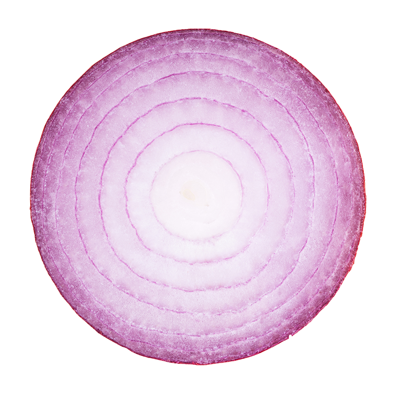 onion slice for online nutrition coaching